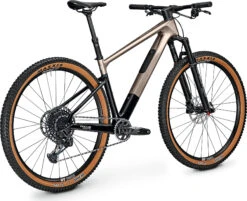 FOCUS RAVEN 8.9 - Carbon Mountainbike - 2023 - Silver / Carbon Raw -Fiets Series Winkel 4000990426145 focus raven 8 1481248