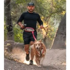 Nathan Sports K9 Runner's Waistbelt With Leash - Large - Vapor Blue/Lollipop -Fiets Series Winkel nathan sports k9 runners large waistbelt with leash vapor blue lollipop 11 1028662